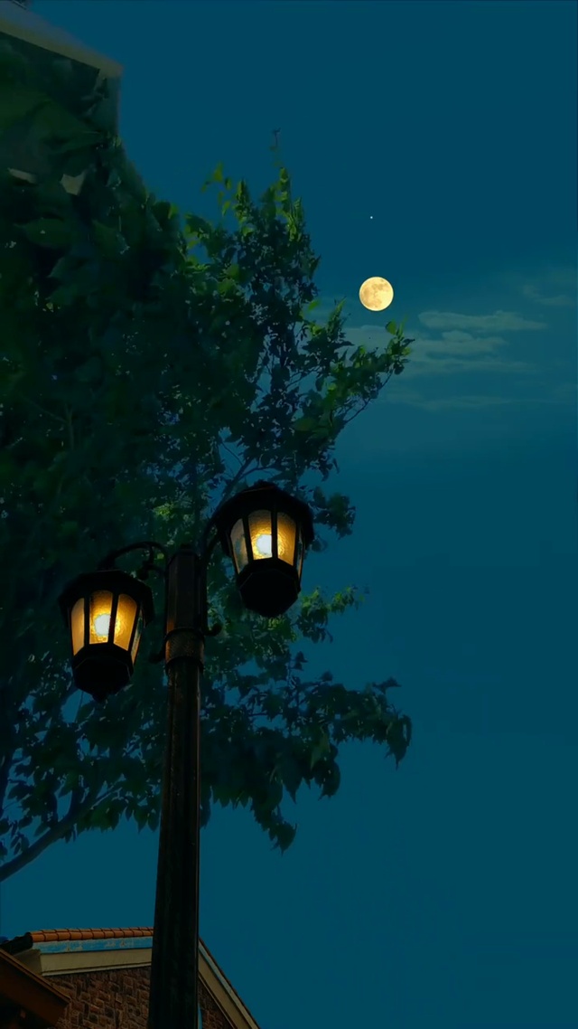 车水马龙的城市在我心里是那么空