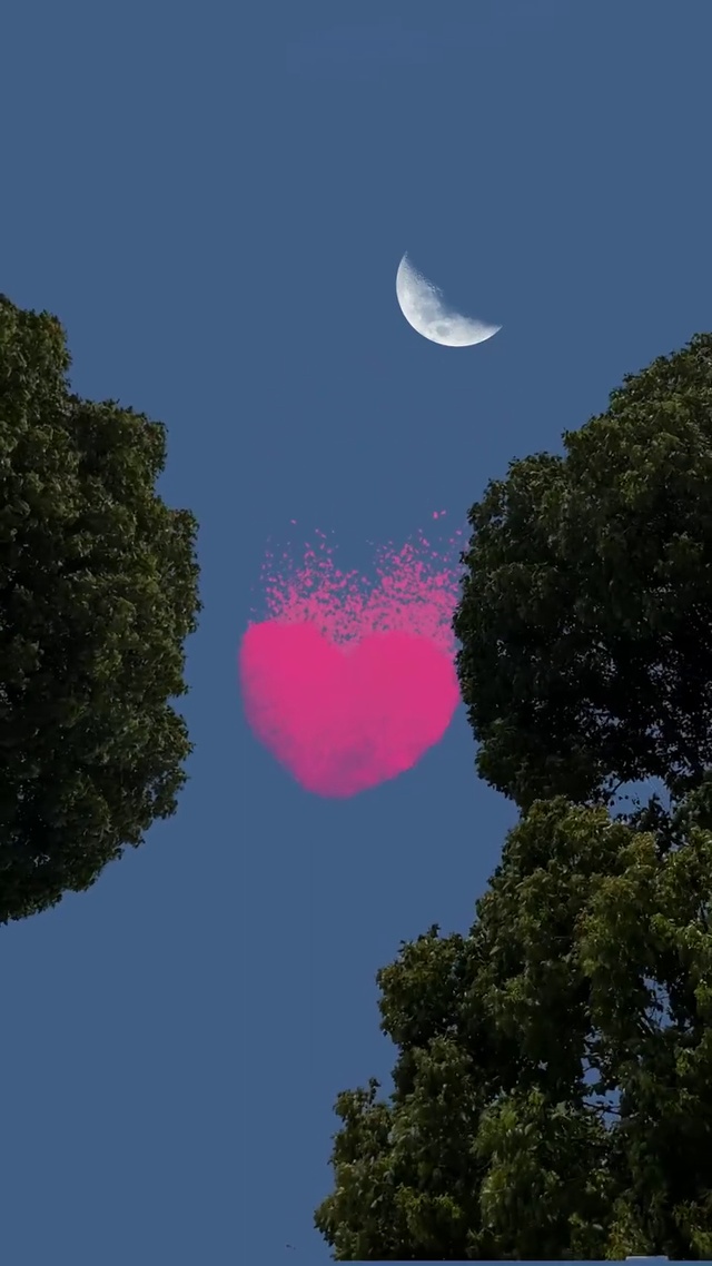 浪漫夜色