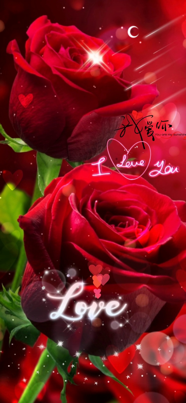 爱情玫瑰