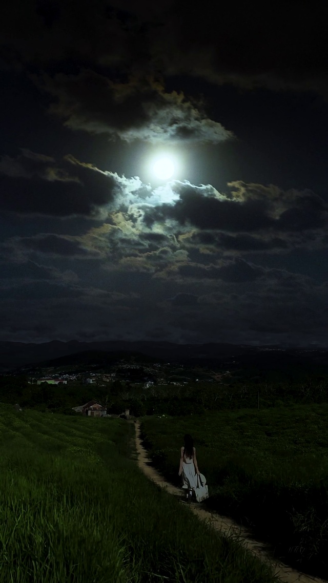 唯美夏夜