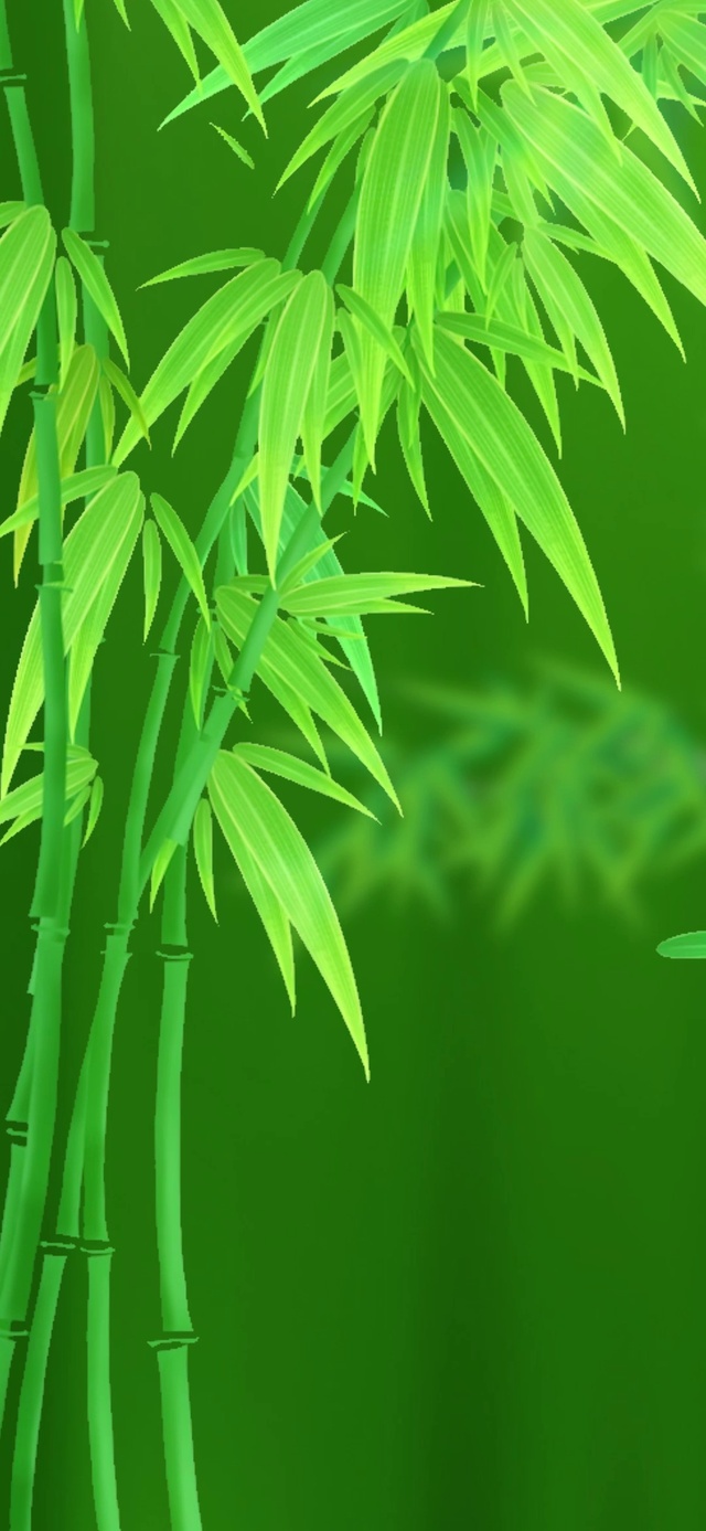 绿竹(风景手机动态壁纸) - 风景手机壁纸下载 - 元气壁纸