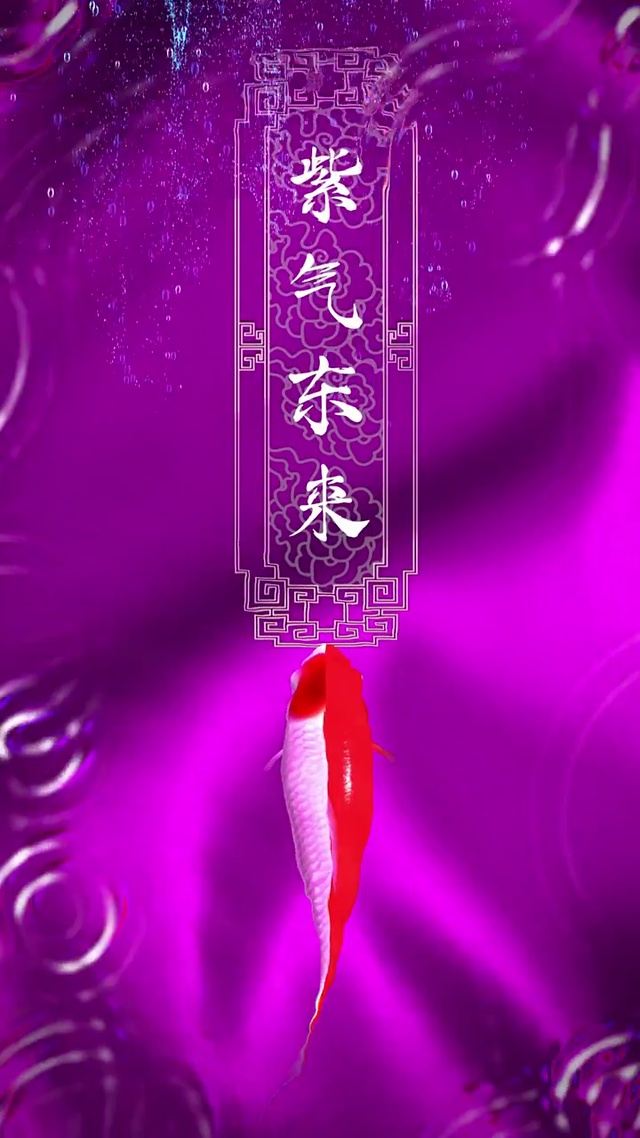 2023 紫气东来 福星高照