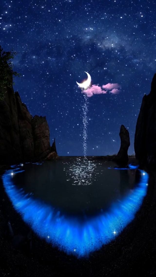 我愿做你的白月光