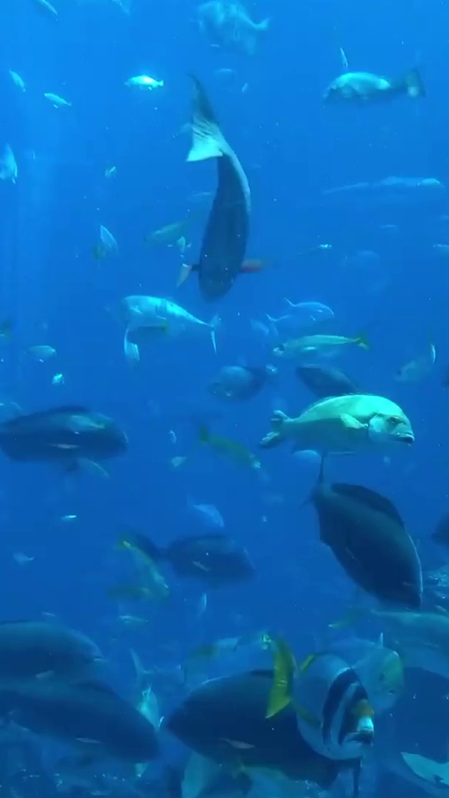 水族馆
