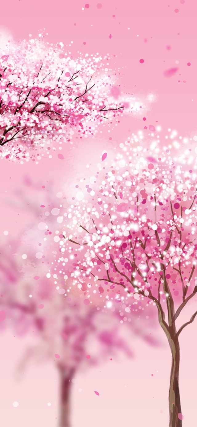 樱花盛开