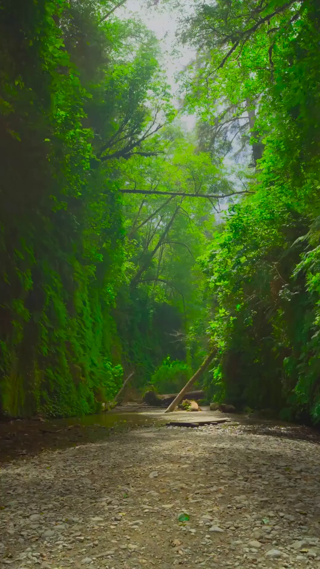 走进4K原始森林