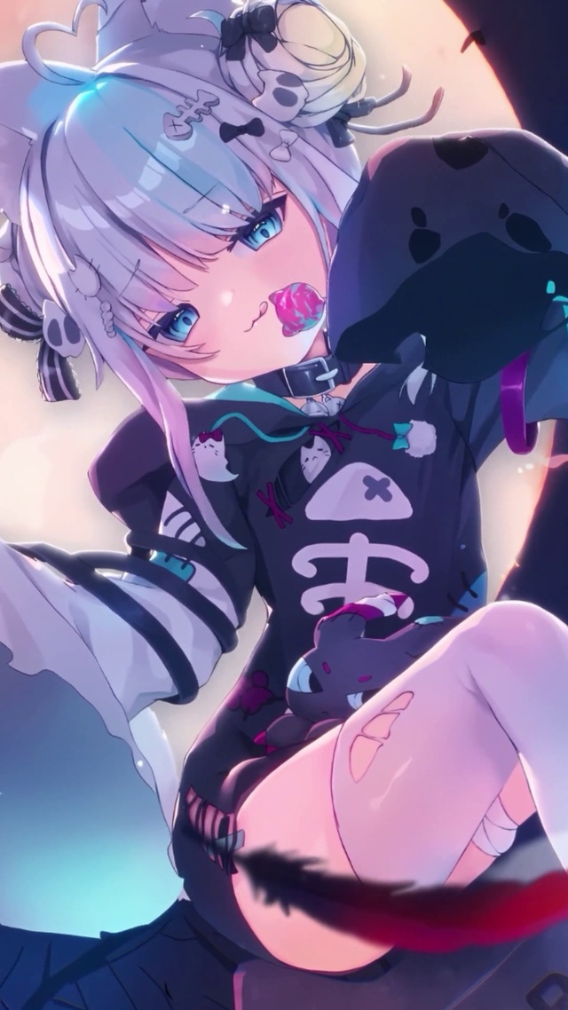 小白猫1