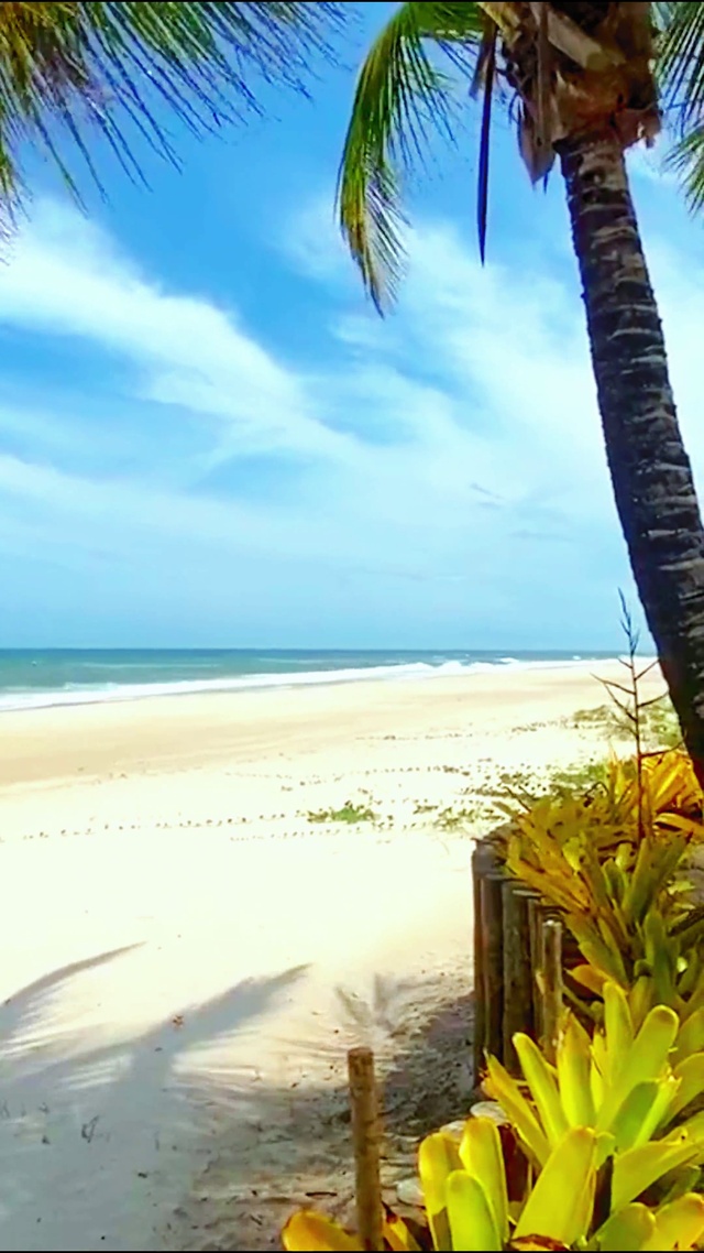 4K唯美夏日海滩