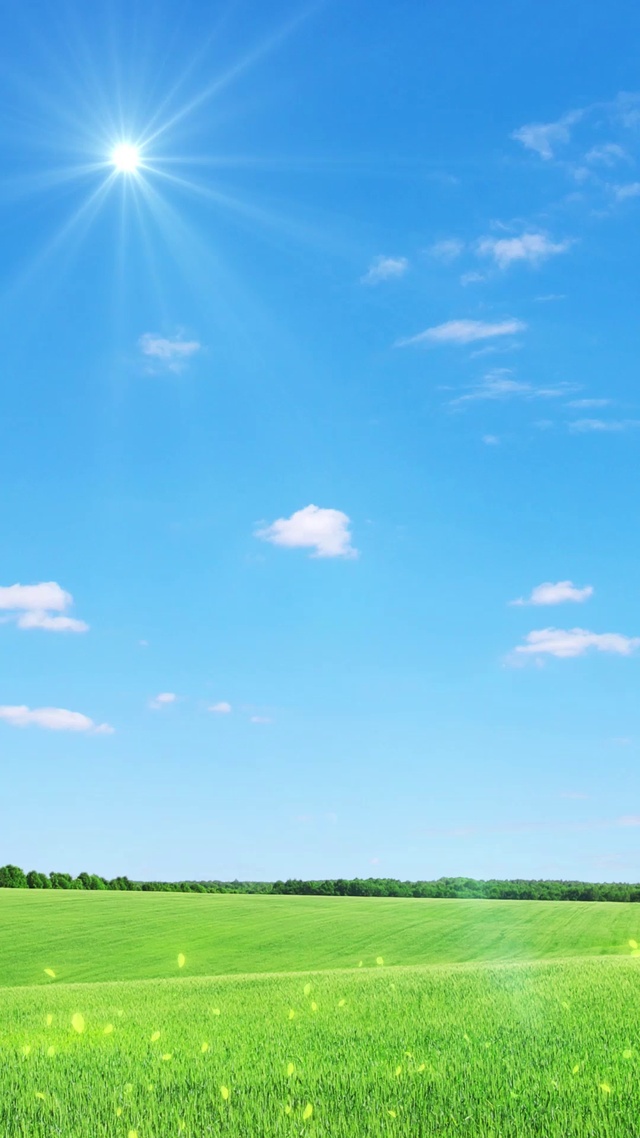 4K清新蓝天绿叶