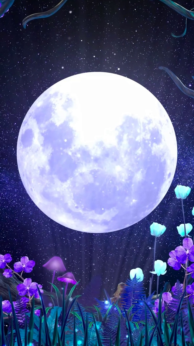 梦幻树林圆月