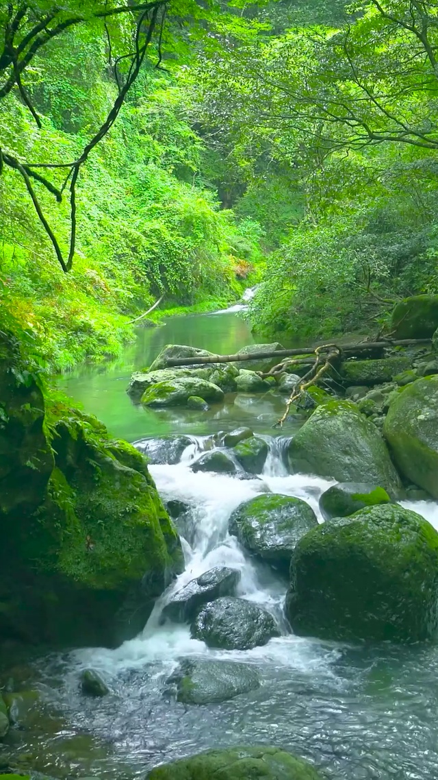 护眼绿林山涧流水