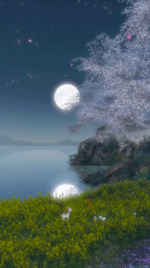 唯美古风月夜樱花湖畔