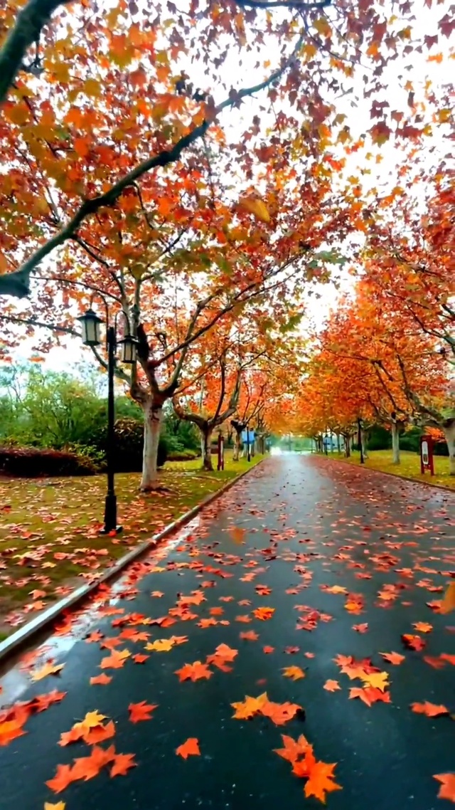 微风徐来 愿所有美好不期而至