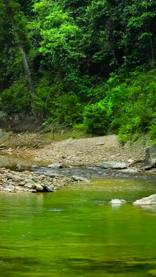 山间清新溪流