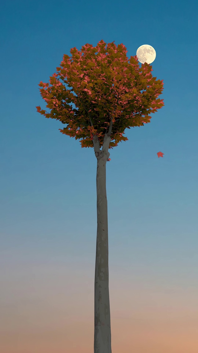 4K超清治愈系风景