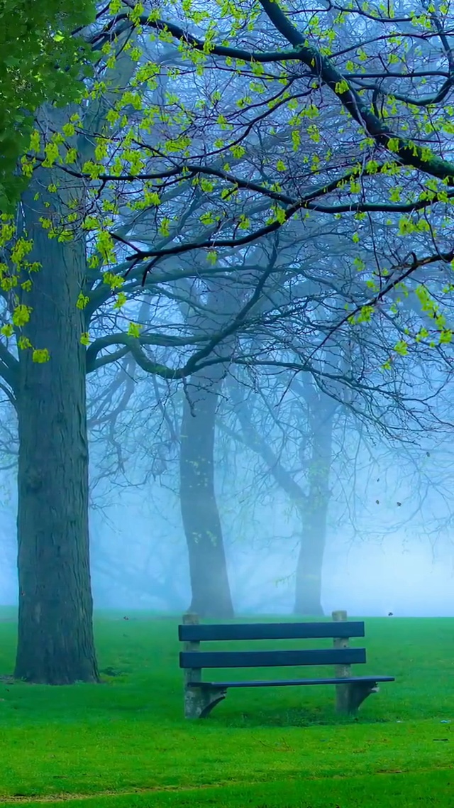 花不语，风却懂。