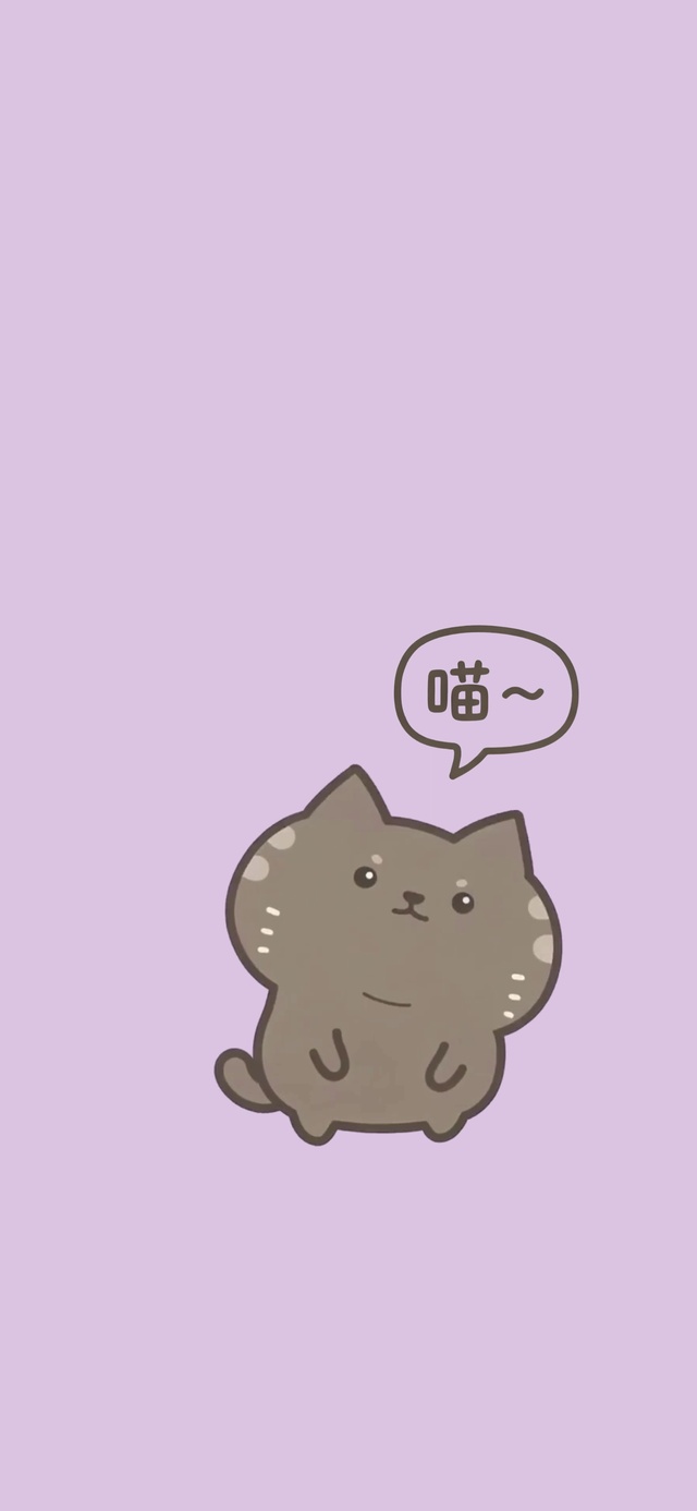 咖灰猫·喵喵喵