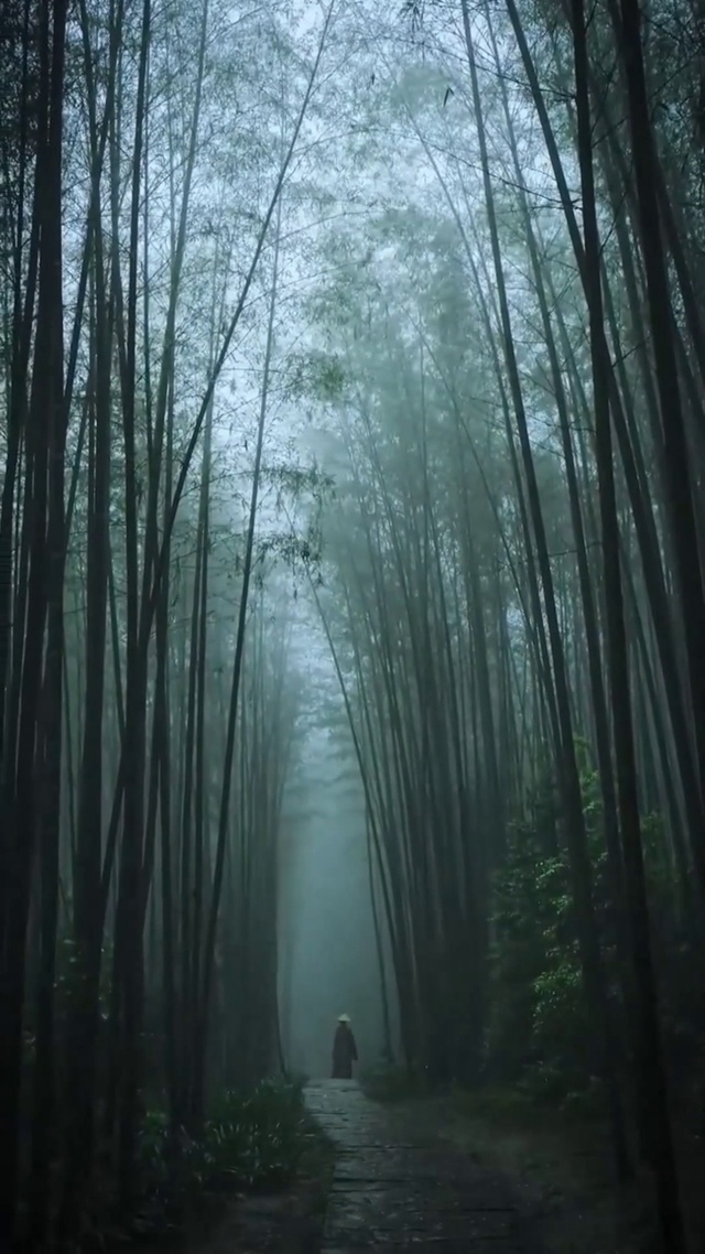 寒江孤影，江湖故人