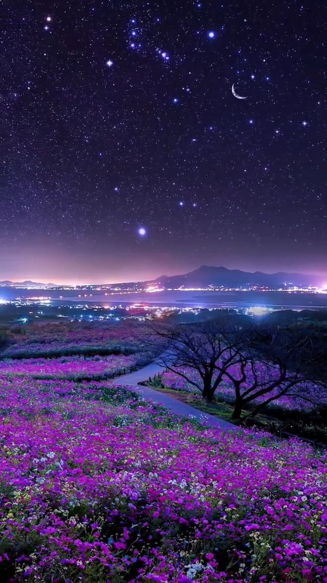 夜空中最亮的星