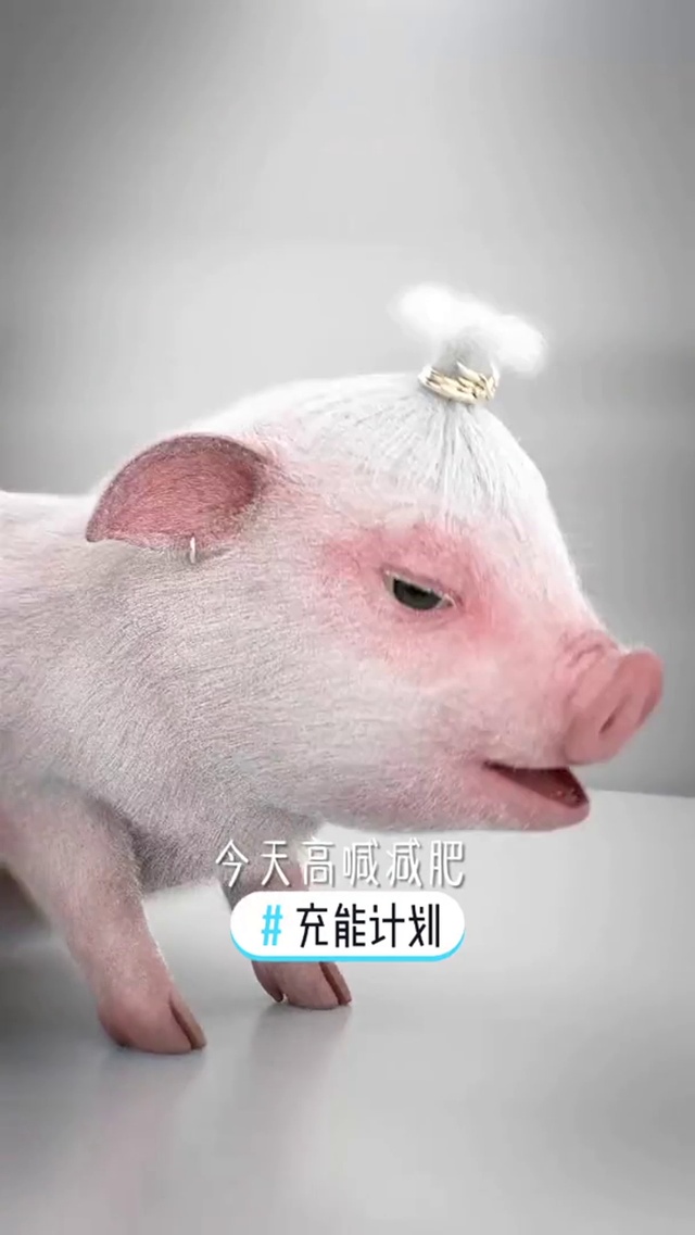 萌萌的猪小迈