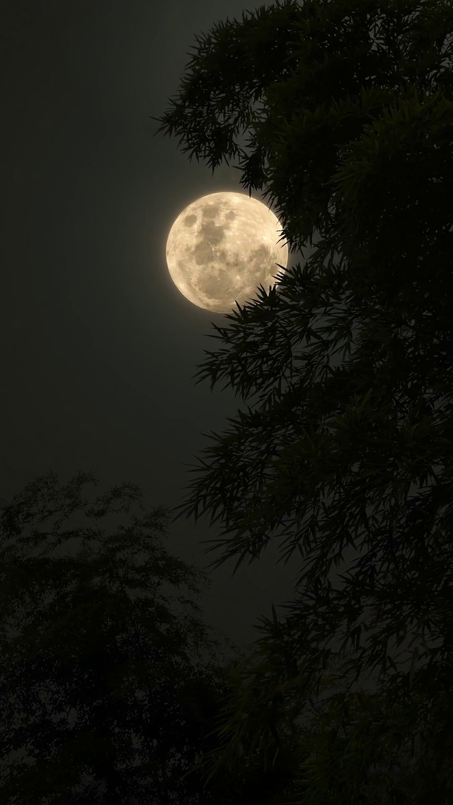 夜空月亮