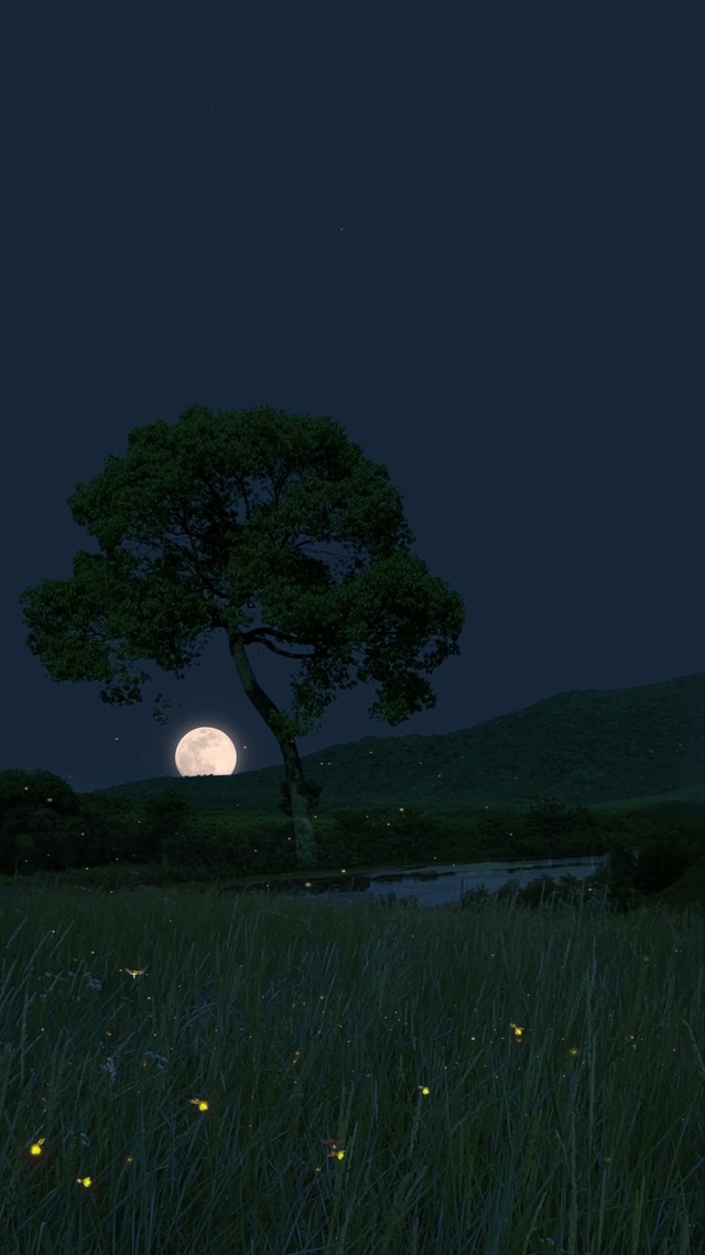 4K唯美治愈夜景