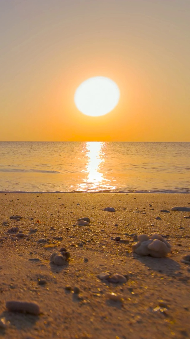 4K唯美海滩夕阳