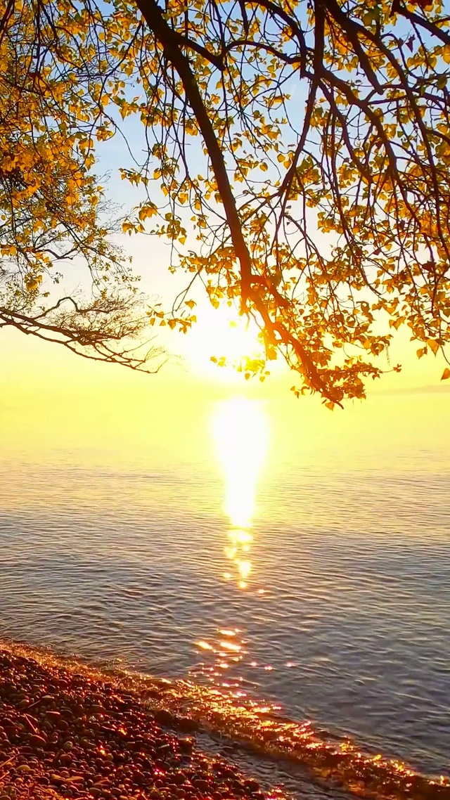 秋天红叶夕阳湖畔
