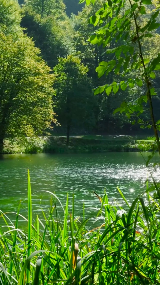 护眼青山绿水湖畔