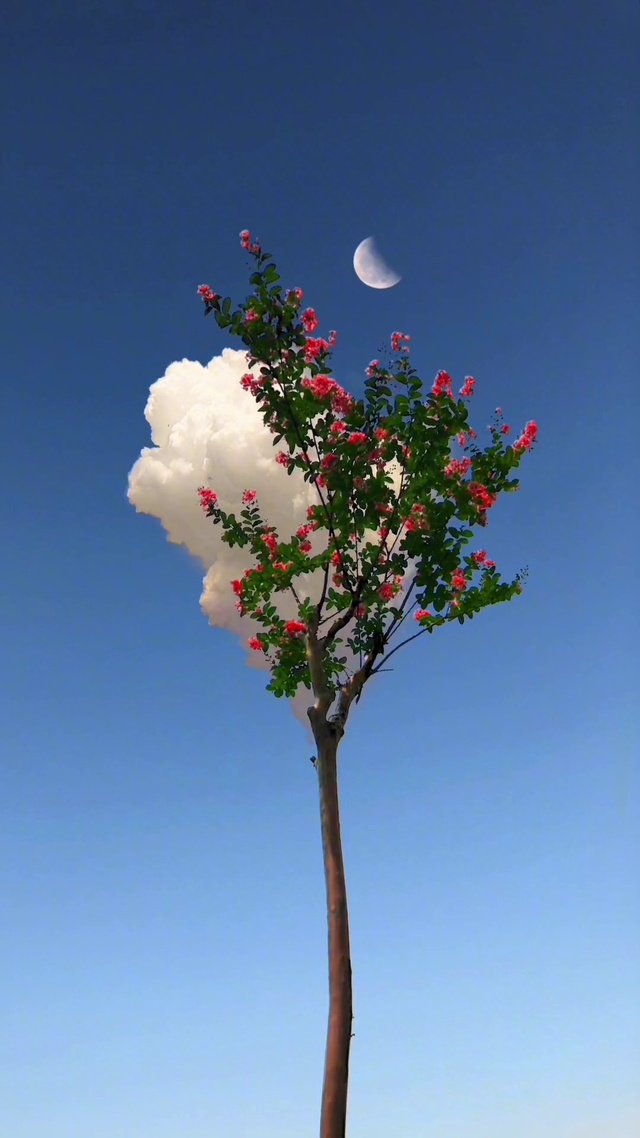 花前月下