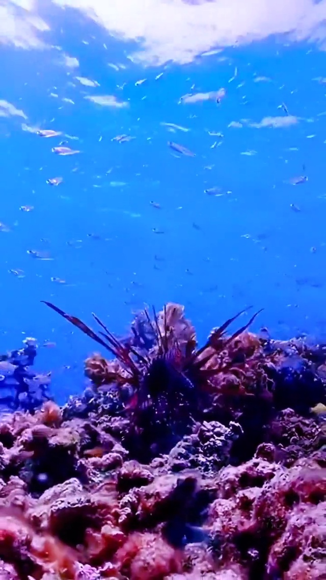 海底世界