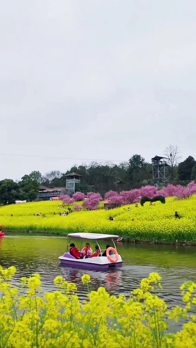 春之约