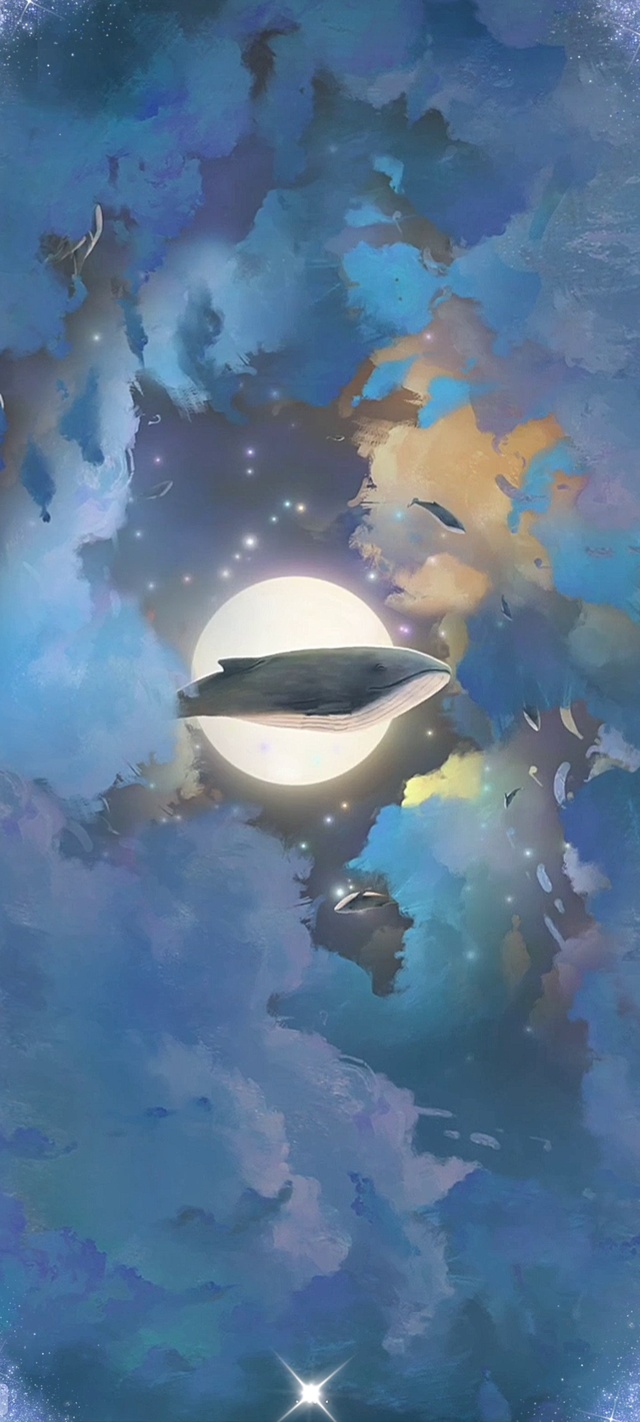 环游宇宙