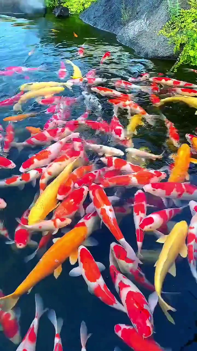 幸福美满，财源滚滚