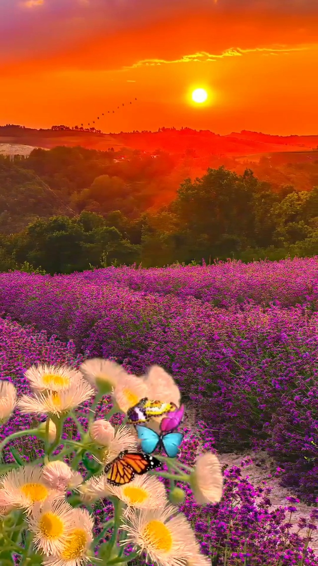 落霞与孤鹜齐飞，秋水共长天一色