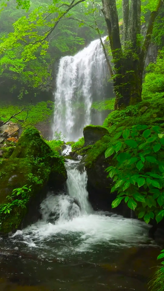 护眼绿林自然瀑布