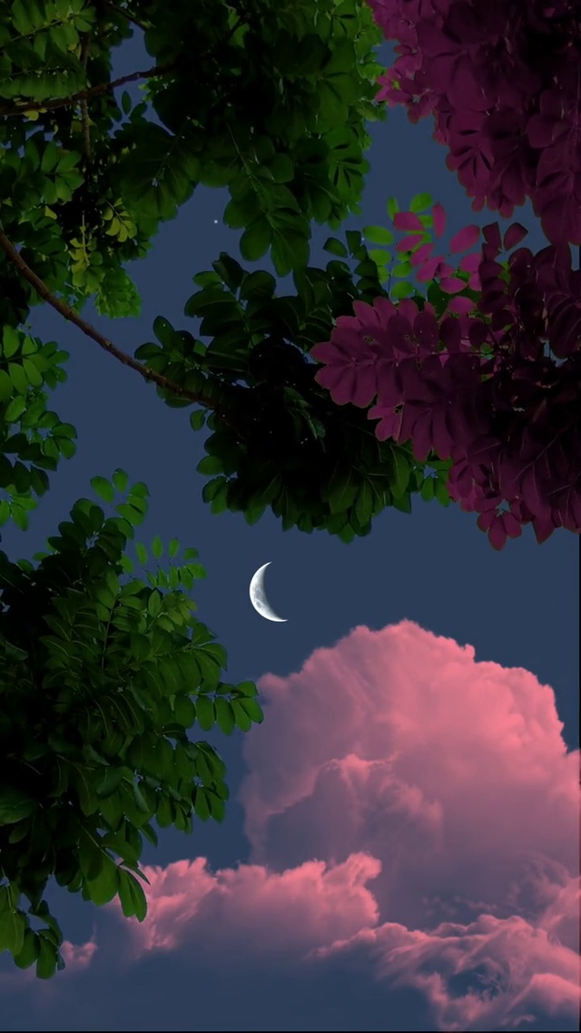仰望夜空
