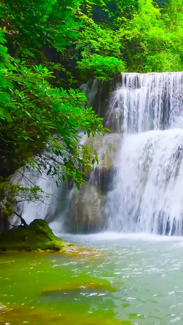 护眼绿林瀑布