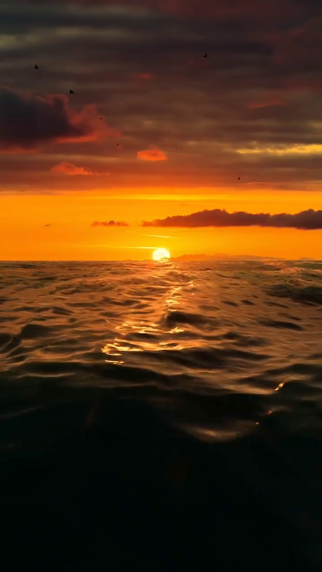 曾经沧海难为水