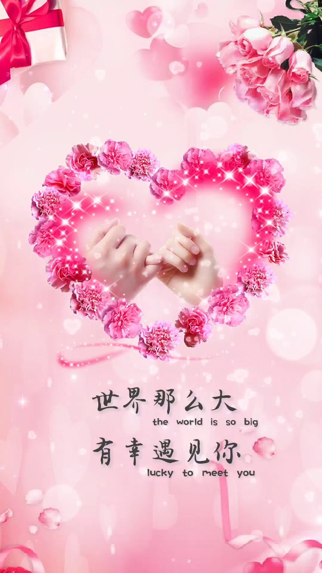 有幸遇见你