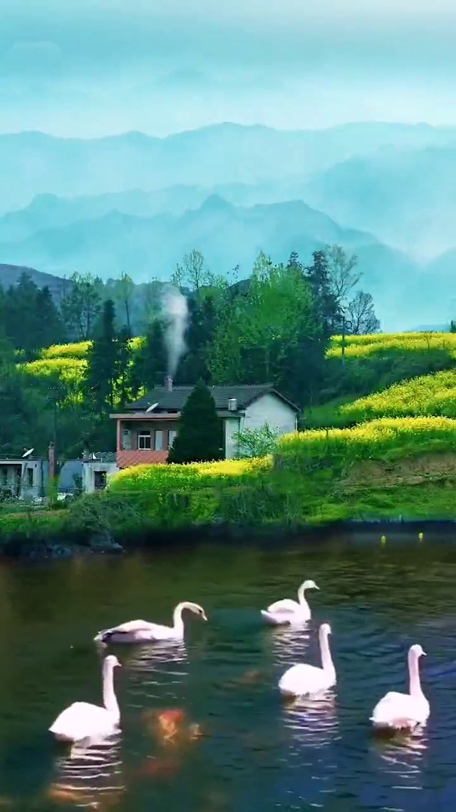 乡村