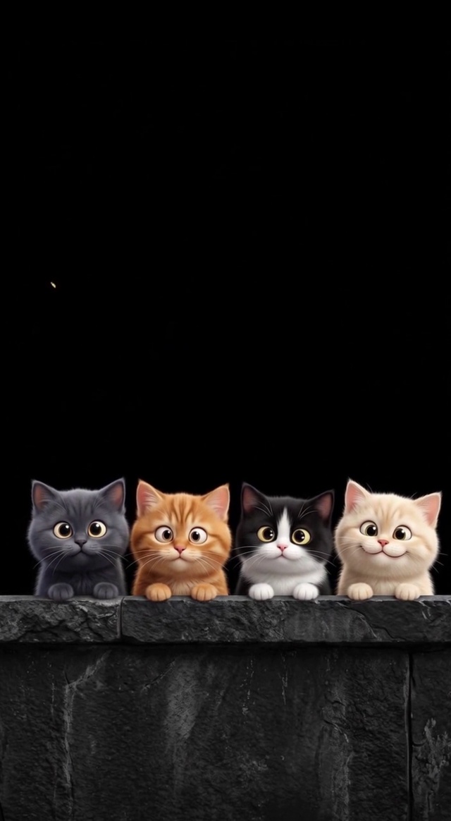 猫-一群 4k