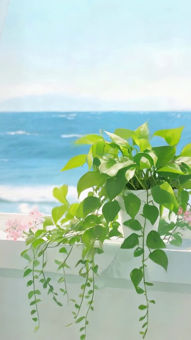 海景飘窗清新绿植