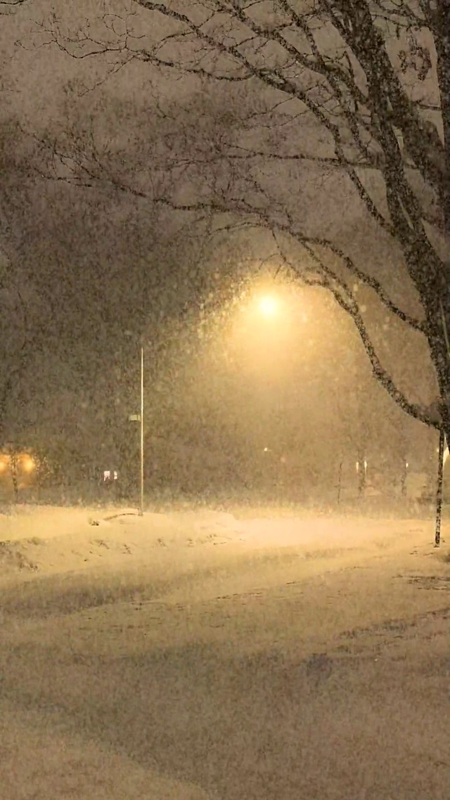 去年陪你看雪的人还在吗