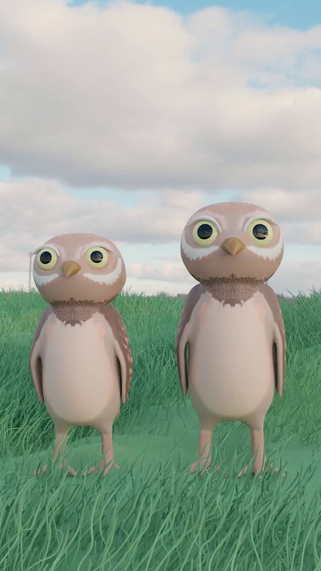 草原上的卖萌小鸟