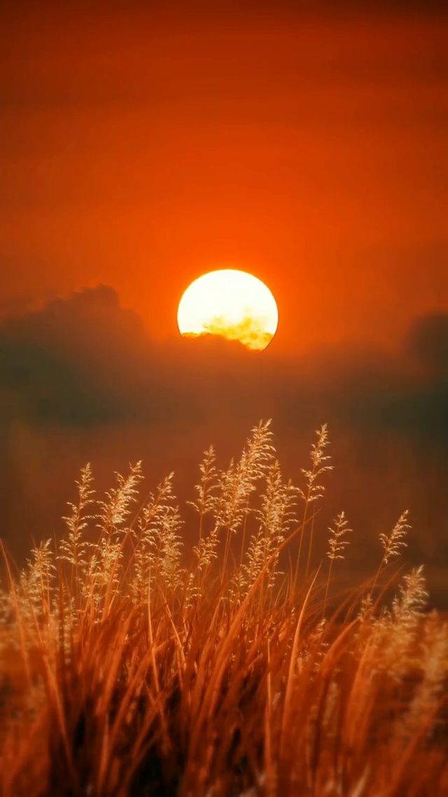 日出东方催人醒