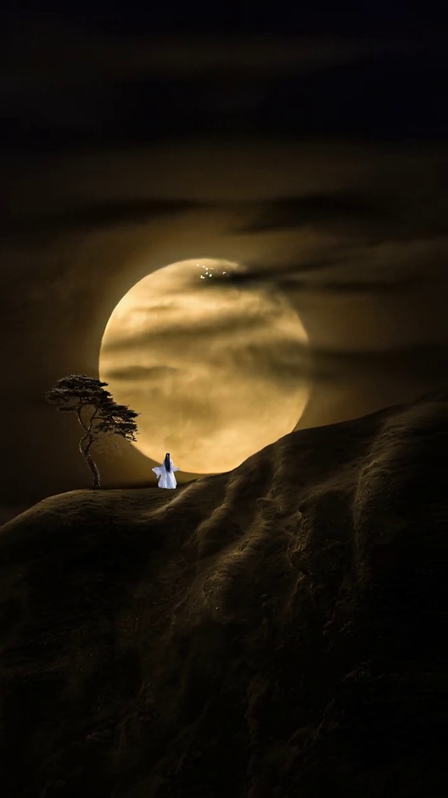 目有所望，心有所想