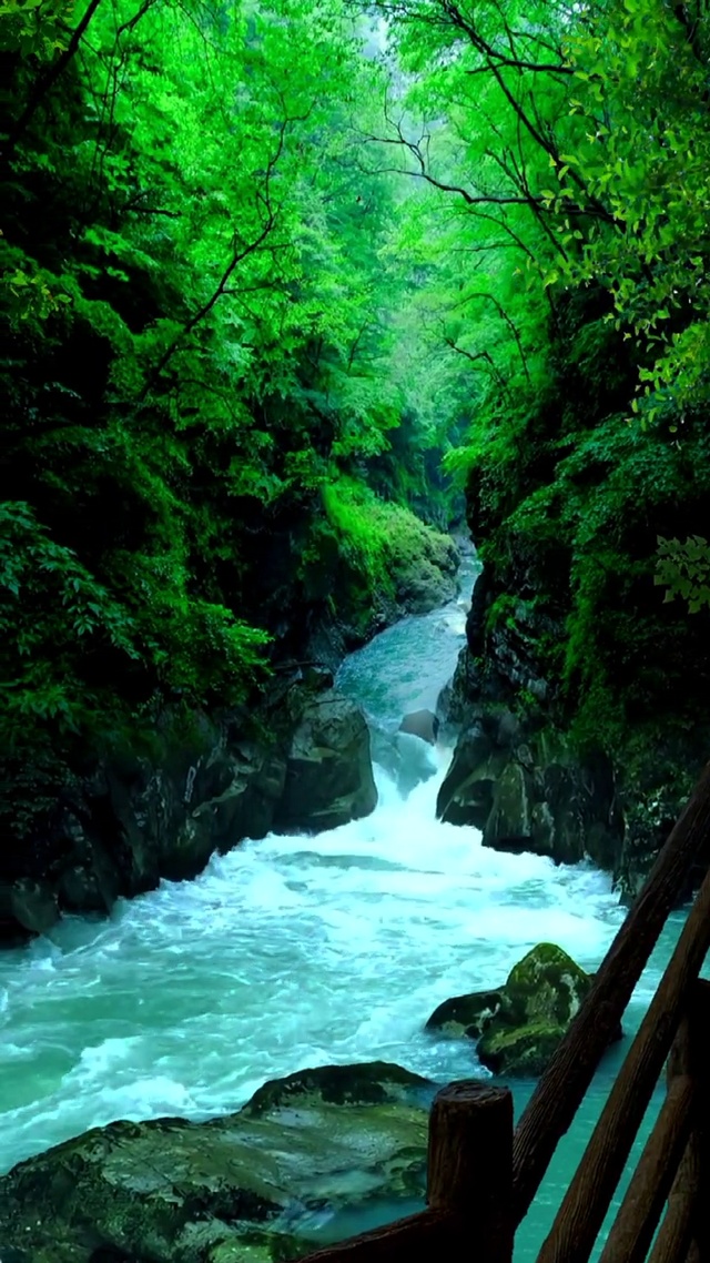 如果说日子有毒，那么，山水便是最好的解药，只要亲近少许。