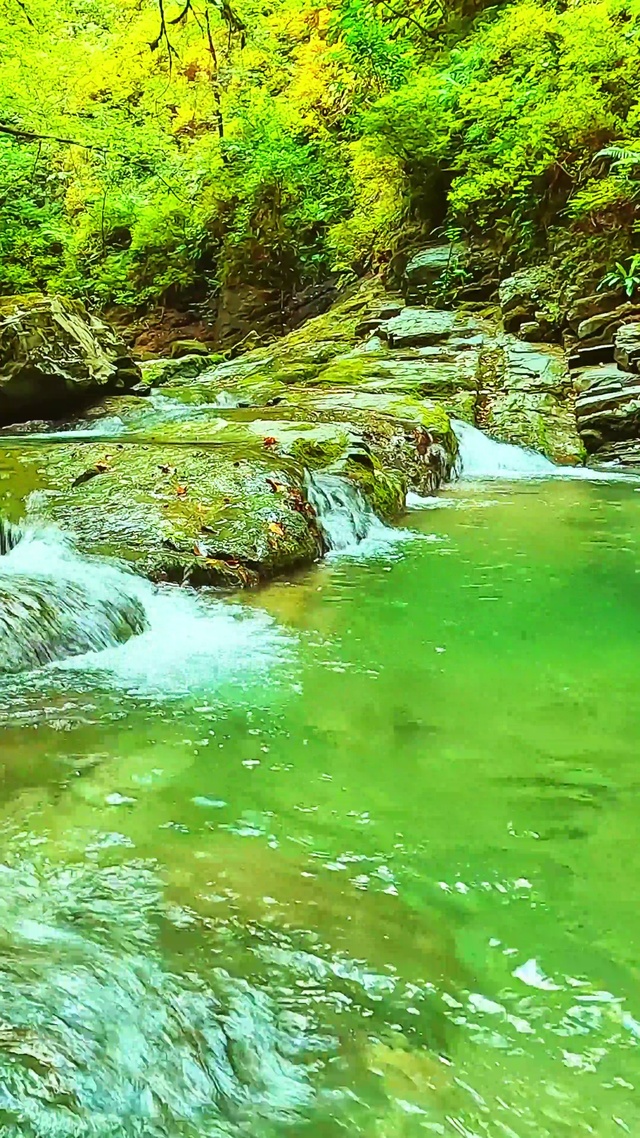 治愈小河流水4K