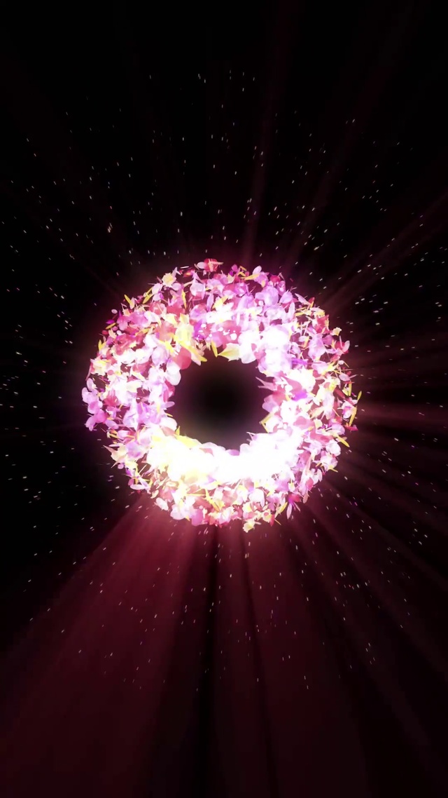 4K 高清 飘落的五颜六色花瓣